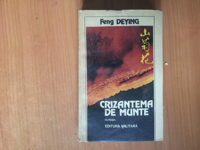 e3 Crizantema de munte - Feng Deying foto