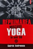 Cumpara ieftin Reprimarea miscarii yoga in anii '80 - 2008 - Gabriel Andreescu (AC288)