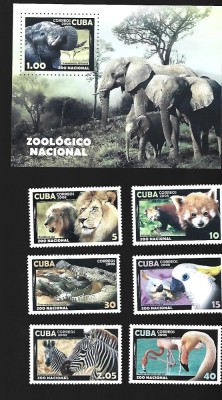 cuba animale mnh foto