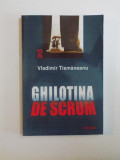 GHILOTINA DE SCRUM de VLADIMIR TISMANEANU , 2002