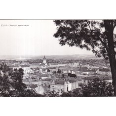 Cluj. Vedere panoramica (necirculata)