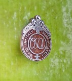 H29-I-Insigna BORN IN CANADA- Nascut in Canada- Made in Italy DS Quared metal argintiu stare buna 3/ 2,2 cm.