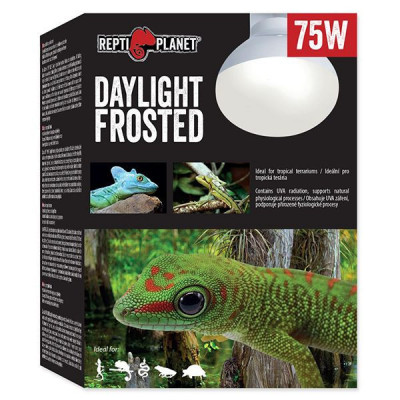 Bec REPTI PLANET Daylight Frosted 75W foto