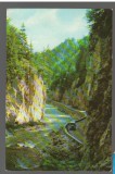 CPIB 17113 CARTE POSTALA - CHEILE DAMBOVICIOAREI