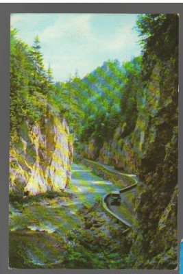 CPIB 17113 CARTE POSTALA - CHEILE DAMBOVICIOAREI foto