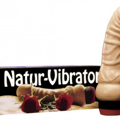 Vibrator Penis Natural