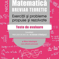 Matematică clasa a XI-a. Breviar teoretic. Exerciţii şi probleme propuse şi rezolvate. Filiera tehnologică toate calificările profesionale