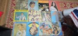 DISC VINIL POPULARA SI USOARA . LOT 22 BUCATI , DISCURILE SUNT ZGARIATE !!