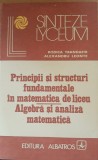 RODICA TRANDAFIR - PRINCIPII SI STRUCTURI FUNDAMENTALE IN MATEMATICA DE LICEU