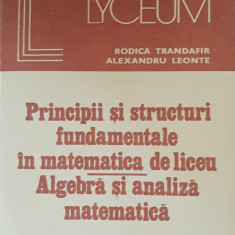 RODICA TRANDAFIR - PRINCIPII SI STRUCTURI FUNDAMENTALE IN MATEMATICA DE LICEU