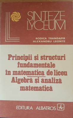 RODICA TRANDAFIR - PRINCIPII SI STRUCTURI FUNDAMENTALE IN MATEMATICA DE LICEU foto