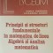 RODICA TRANDAFIR - PRINCIPII SI STRUCTURI FUNDAMENTALE IN MATEMATICA DE LICEU
