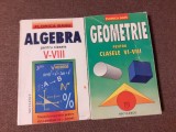 ALGEBRA + GEOMETRIE PENTRU CLASELE VI-VIII - Florica Banu
