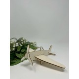 Avion de asamblat si pictat