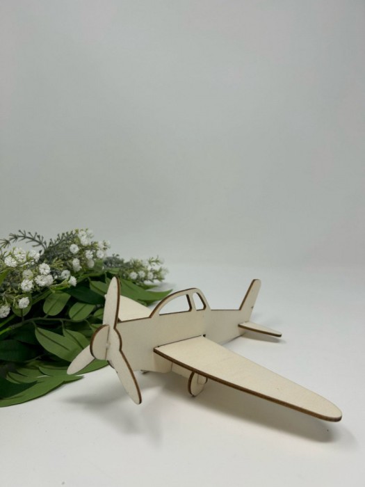 Avion de asamblat si pictat