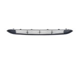 Grila bara fata Fiat Punto Evo (199), 09.2009-, superior, 735533374, 303605-2 negru lucios