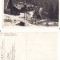 Paltinis (Sibiu, Hermannstadt )-SKV-ed E. Fischer- rara