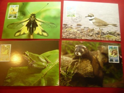 Set 4 Maxime cu seria Fauna - Animale mici 1989 Liechtenstein foto