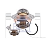 Termostat lichid racire Facet 78207S