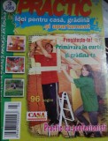 Revista PRACTIC IDEI pentru casă, grădină și apartament - martie 2005