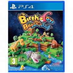 Birthdays The Beginning Limited Edition Ps4 foto