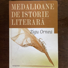 Zigu Ornea - Medalioane de istorie literara