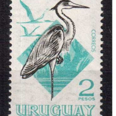 URUGUAY 1968, Fauna - Pasari, serie neuzata, MNH