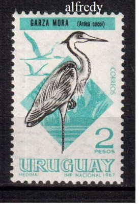 URUGUAY 1968, Fauna - Pasari, serie neuzata, MNH foto