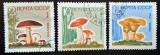 Set timbre URSS &ndash; Ciuperci / Fungi &ndash; 3 piese, obliterate, Poșta Sovietică, 1964
