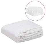 Copertină rezervă pentru seră (13,5 m&sup2;) transparent 3x4,5x2 m