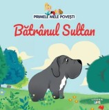 Primele mele povesti. Batranul Sultan, Litera