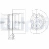 DELPHI BG3044 Disc frana