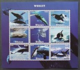 BHUTAN-BALENE- 1 M/SH**-BH 18