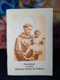 Carte - Devotiuni in cinstea Sfantului Anton de Padova - Joseph Schubert, 1993