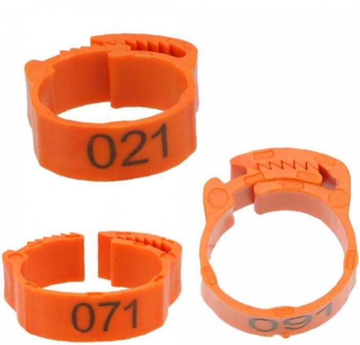 Set 100 inele pentru pasari, Sunmostar, Plastic, 1-100, Portocaliu