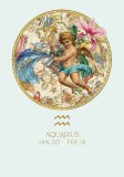 Felicitare - Aquarius | The Art File