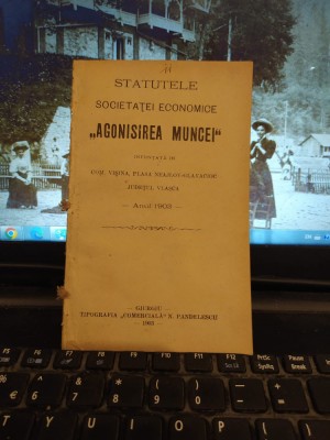 Statutele Societății Agonisirea Muncei, com Vișina jud. Vlașca, Giurgiu 1903 201 foto