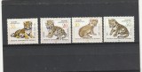 Fauna ,pui de feline. Germania (DDR)., Nestampilat