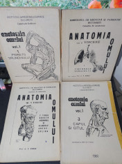Anatomia omului Viorel Ranga, vol. 1 p1, 1 p3, 2 p1, 2 p2 Bucure?ti 1979-80, 154 foto