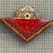 Y 858 INSIGNA - PIONIERI -FRUNTAS IN MUNCA PATRIOTICA - PENTRU COLECTIONARI
