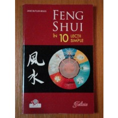 FENG SHUI IN 10 LECTII SIMPLE de JANE BUTLER BIGGS , 2008