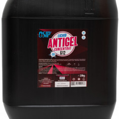 Antigel Osip G12 Concentrat 20L