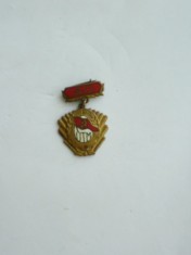 QW9 J 60 - Insigna - tematica comunism - 40 de ani de la infiintarea UTM