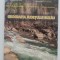 Geografia Județului Buzău - Mihaela Florina Alexandru, Mihai Marius M&icirc;ncu