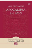 Apocalipsa lui Ioan (ediție biligvă) - Paperback - Cristian Bădiliță - Vremea