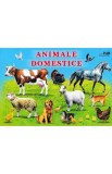 Animale domestice