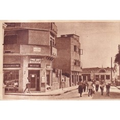 Mangalia. Vedere (circulata 1951)