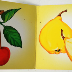 Fructele carte ilustrata pentru copii ed. Unicart