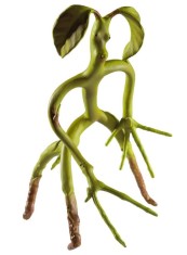 Bendable Bowtruckle Fantastic Beasts 18 Cm