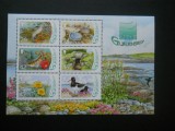 CN BLOC GUERNSEY